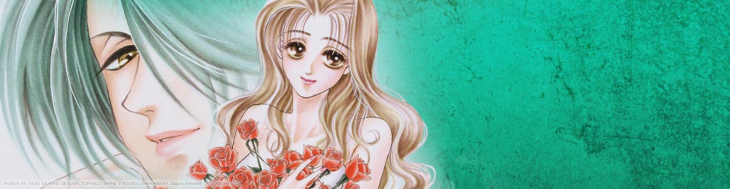 bandeau produit midnight wolf 