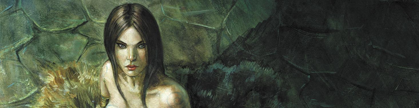 bandeau produit les druides