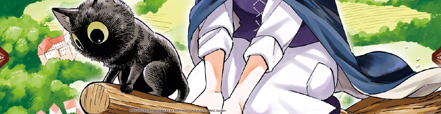 BandeauMarieLaSorciereT1